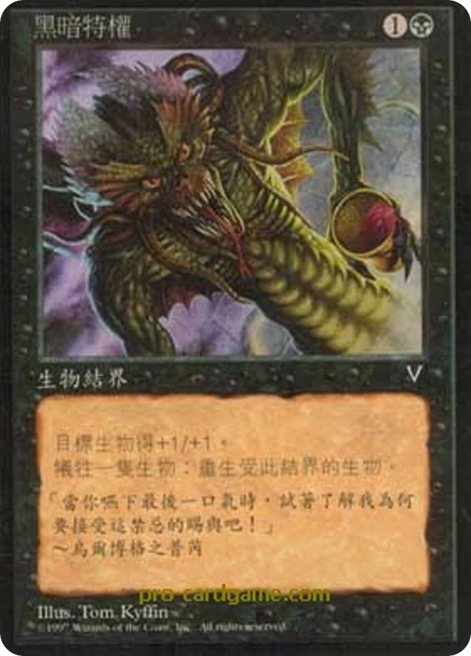 黑暗特权 — Visions