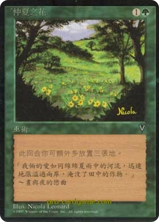 仲夏之花 — Visions
