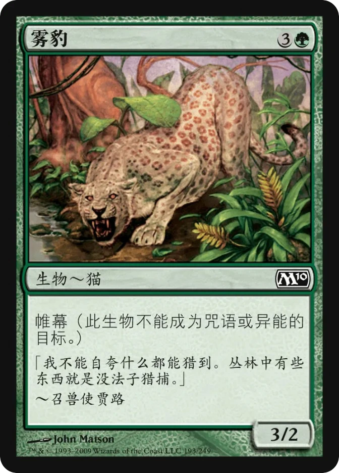雾豹 — Magic 2010