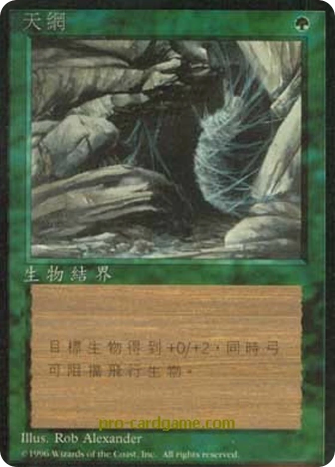 天网 — Fourth Edition Foreign Black Border