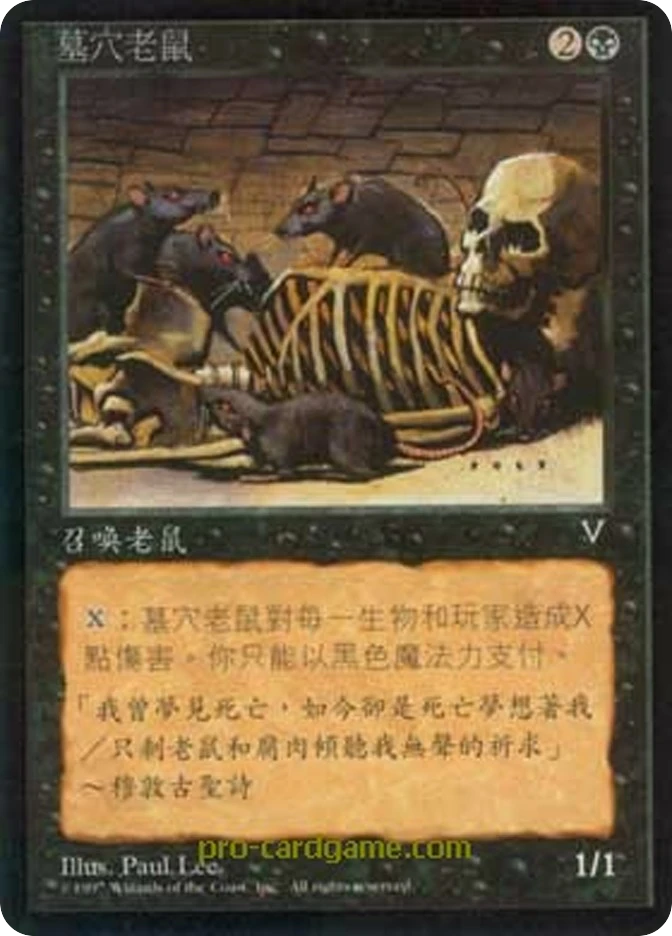 墓穴老鼠 — Visions