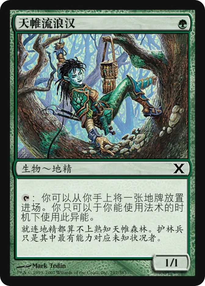天帷流浪汉 — Tenth Edition