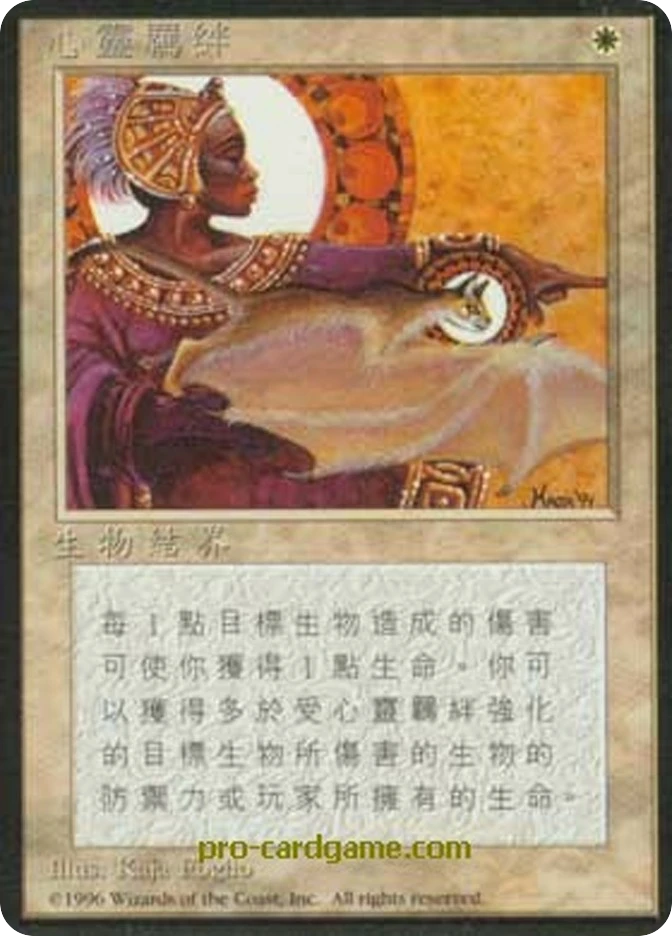 心灵羁绊 — Fourth Edition Foreign Black Border