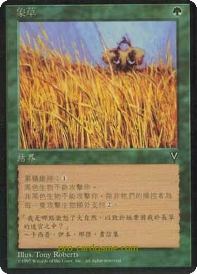 象草 — Visions