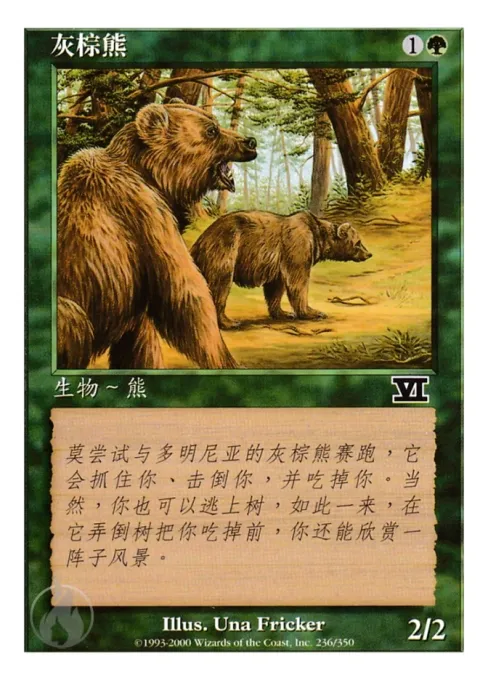 灰棕熊