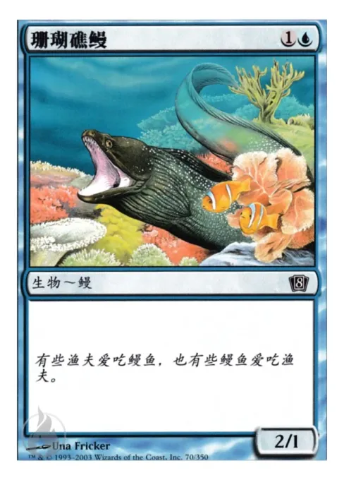 珊瑚礁鳗