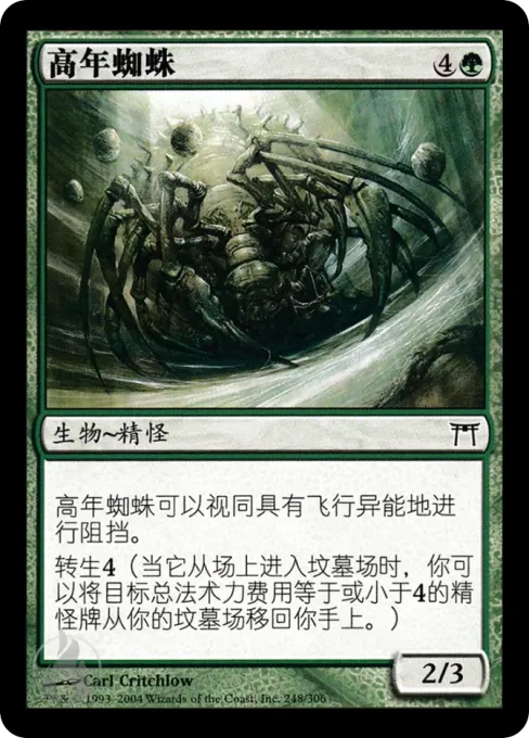 高年蜘蛛