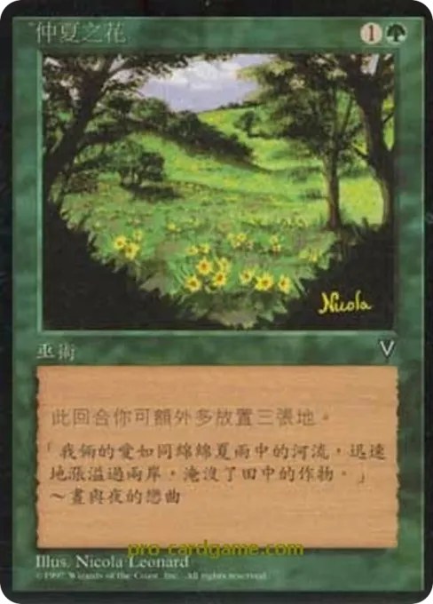 仲夏之花