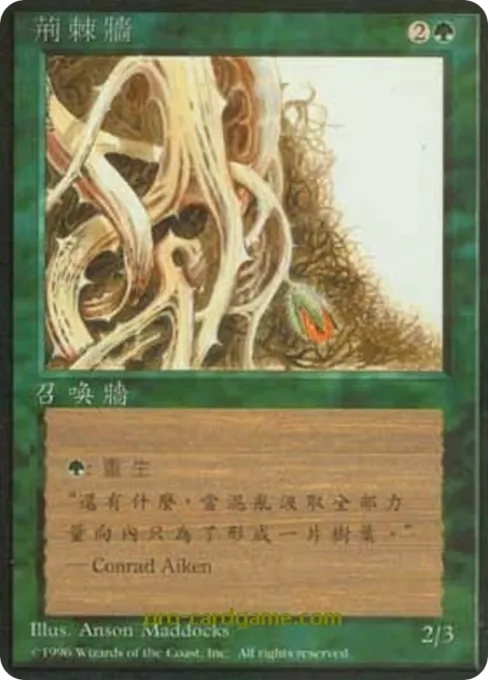 荆棘墙
