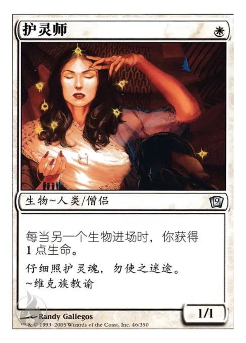 护灵师