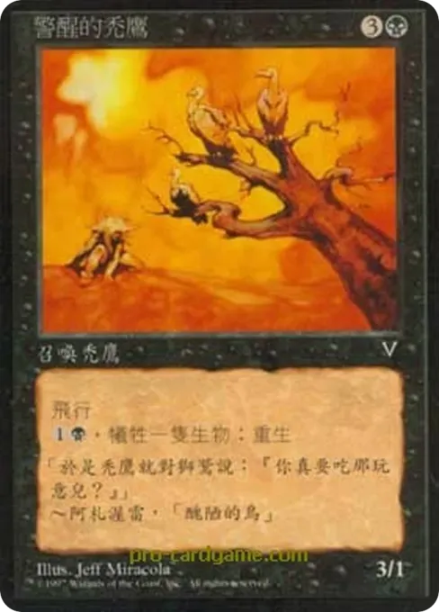 警醒的秃鹰