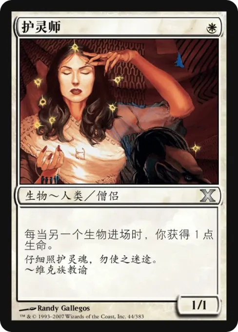 护灵师