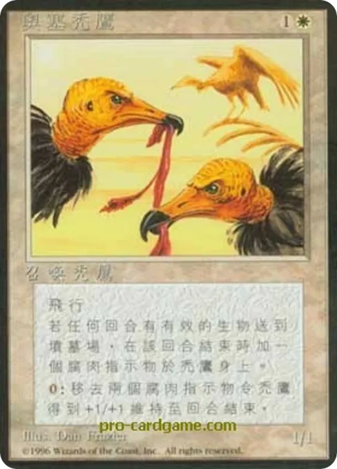 奥塞秃鹰
