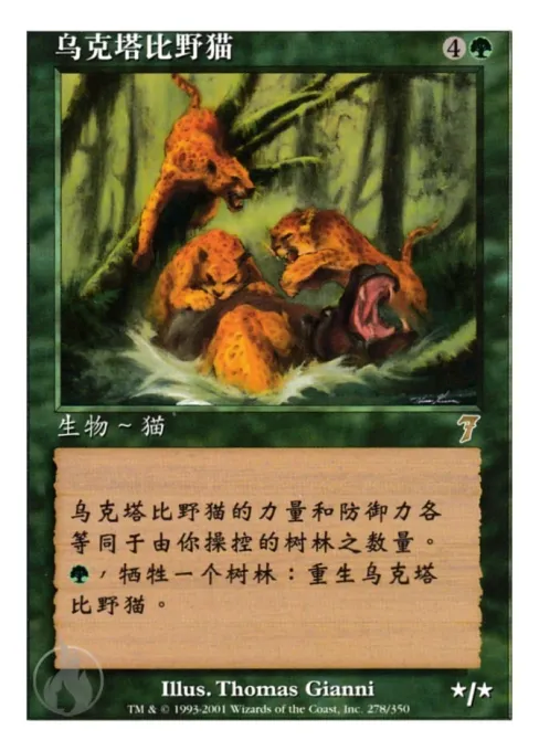 乌克塔比野猫