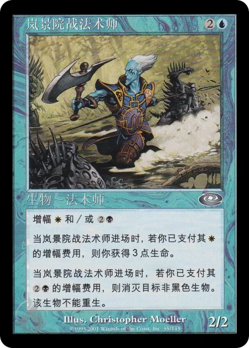 岚景院战法术师