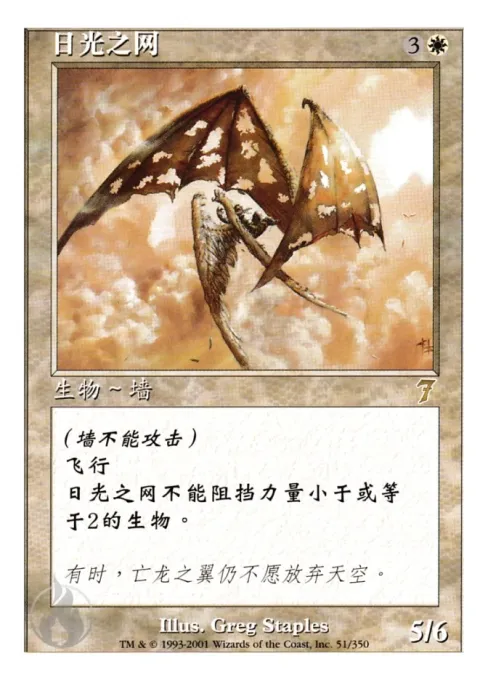 日光之网