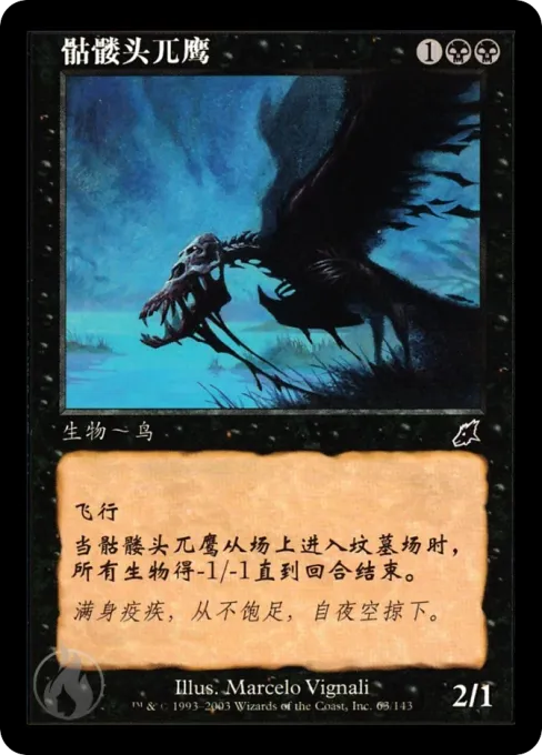 骷髅头兀鹰