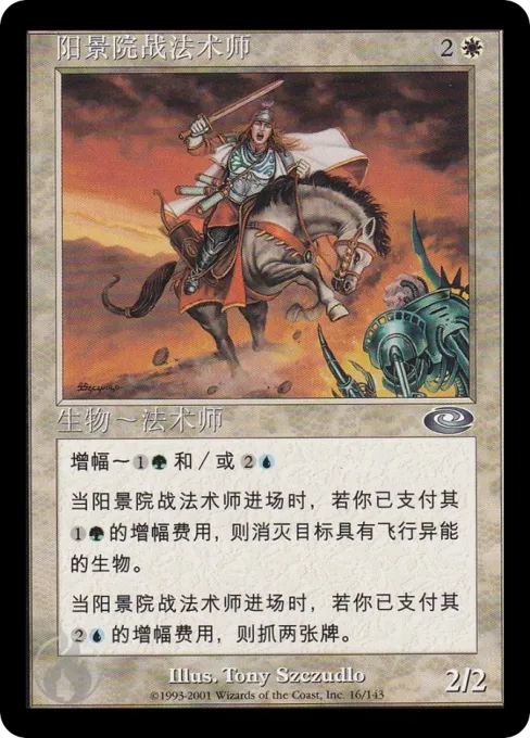 阳景院战法术师