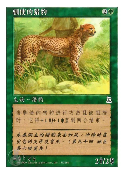 驯使的猎豹