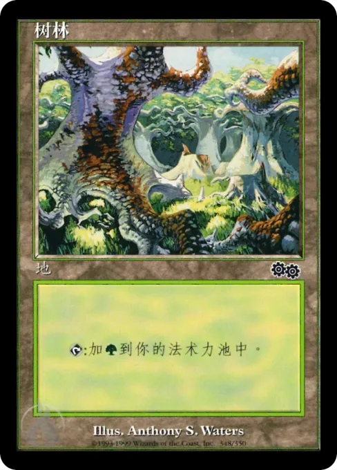 树林