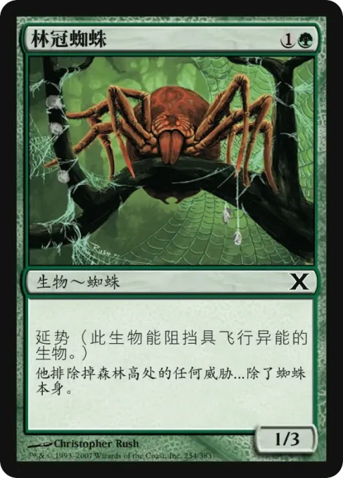 林冠蜘蛛