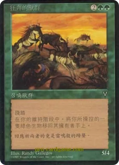 狂奔的兽群