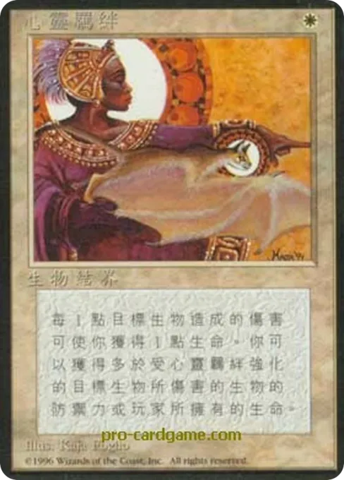 心灵羁绊