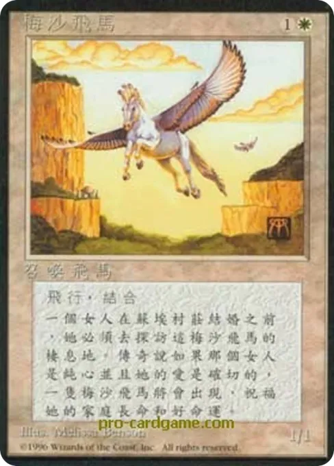 梅沙飞马